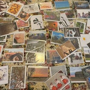 Assorted  New Blank Greeting Cards